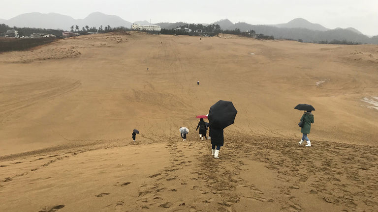 The Tottori Sand Dunes