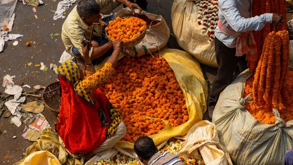 Review: Northern India With Explore Worldwide