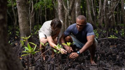 Travelers participating in Fiji’s Loloma Hour engage in hands-on activities such as mangrove restoration, making a valuable contribution to the country’s conservation efforts.