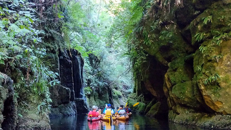 A three-hour kayaking session on Lake McLaren is included in the itinerary.