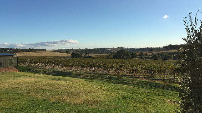 The view of Barossa Valley from Appellation