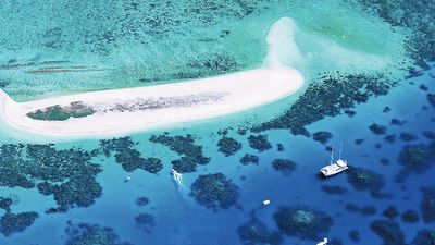 Snorkeling Michaelmas Cay in the Great Barrier Reef