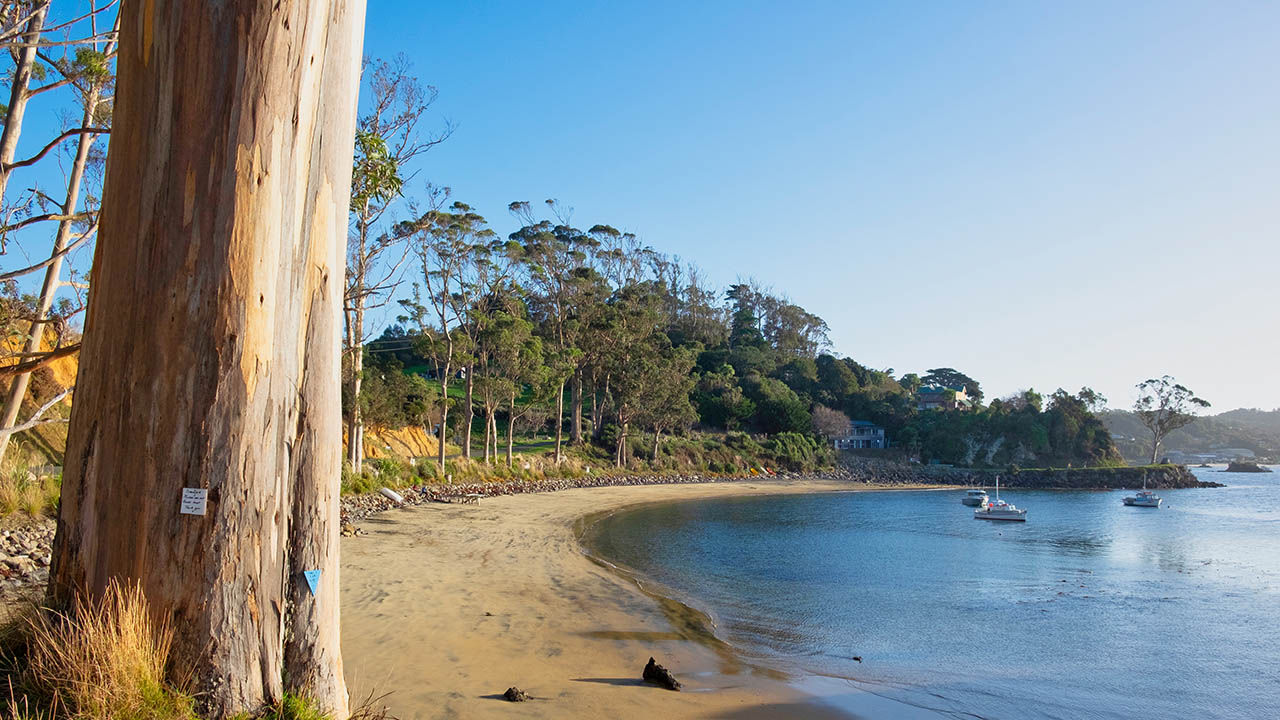 For a chance to see the elusive kiwi bird, head to Stewart Island.