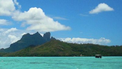Classic Vacations product director Joelle Arriola recommends jumping in the water with local operator Lagoon Service Bora Bora. // © 2015 Joelle Arriola