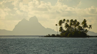 How French Polynesia Is Faring With COVID-19 One Month After Its Reopening