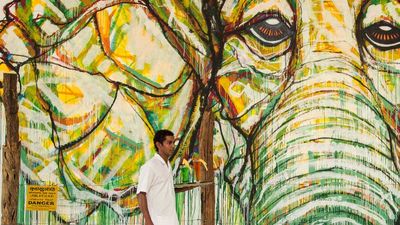 A large elephant mural welcomes guests to the luxury resort. // © 2017 Aliya Resort & Spa