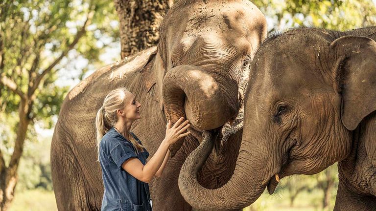 Guests at the property have opportunities to interact with elephants at the on-site Dara Elephant Camp.