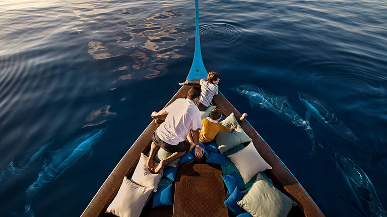 Guests at Kuda Huraa can take a dolphin cruise.