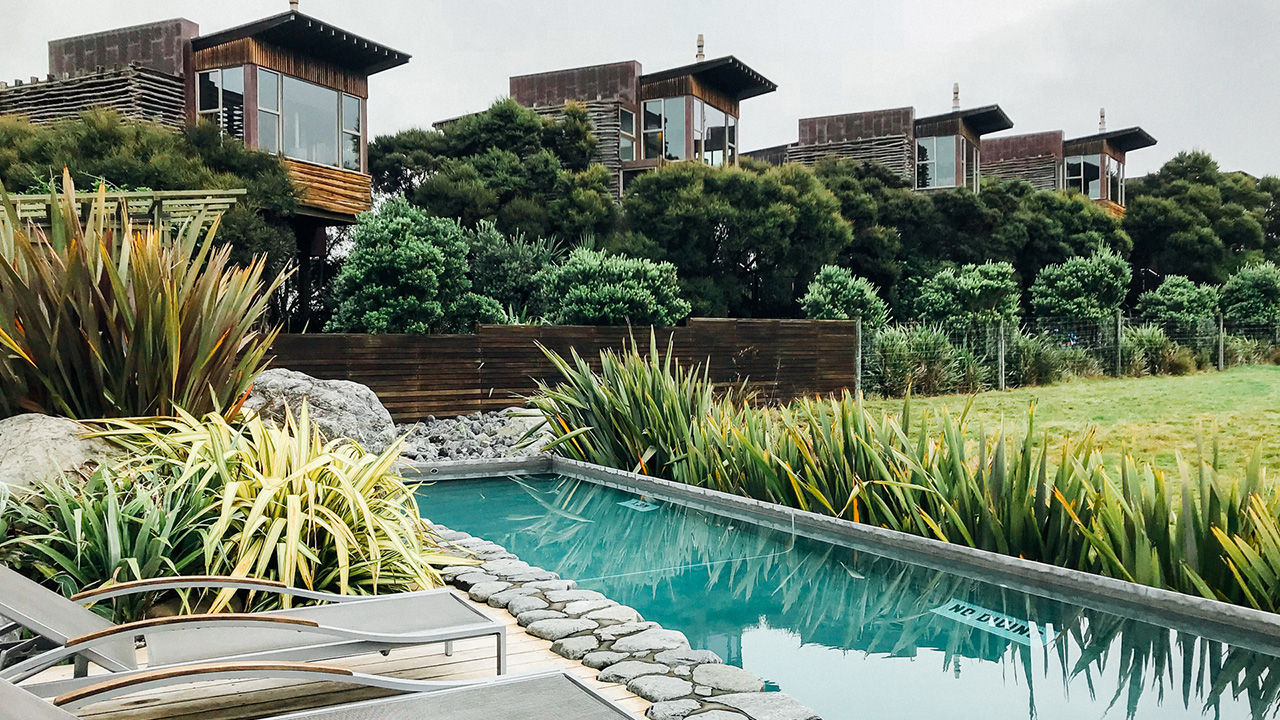 Hapuku's luxury treehouses can be seen from the property’s outdoor heated pool.