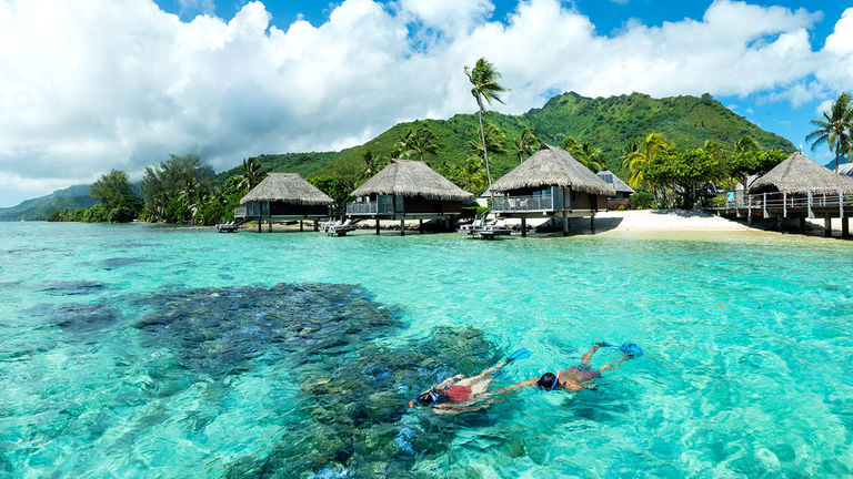 Guests at Hilton Moorea can snorkel right off the private beach.