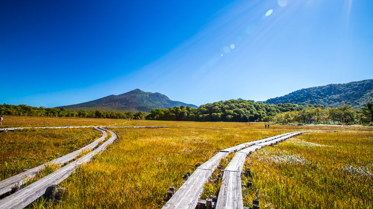 Oze National Park