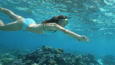 Reef formations and a wide array of marine life are just off the coast of Moorea in French Polynesia. // © 2016 Sofitel Moorea Ia Ora Beach Resort