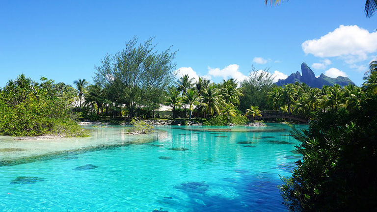 The St. Regis Bora Bora Resort has its own Lagoonarium where guests can swim and snorkel among marine life.