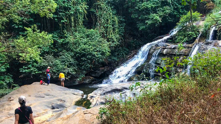 After enjoying lunch, clients will take a trek through Pha Dok Sieo Nature Trail.