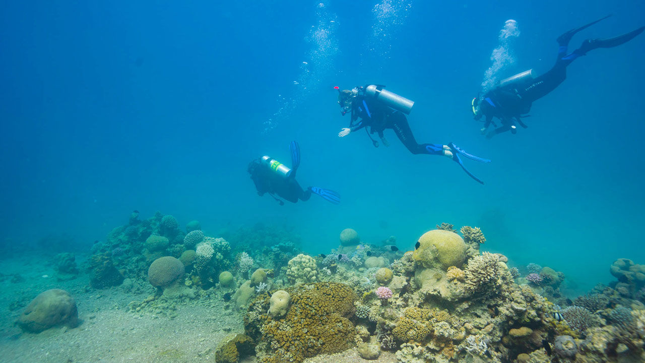 Travel advisors can take an active role in the booking of adventure travel.