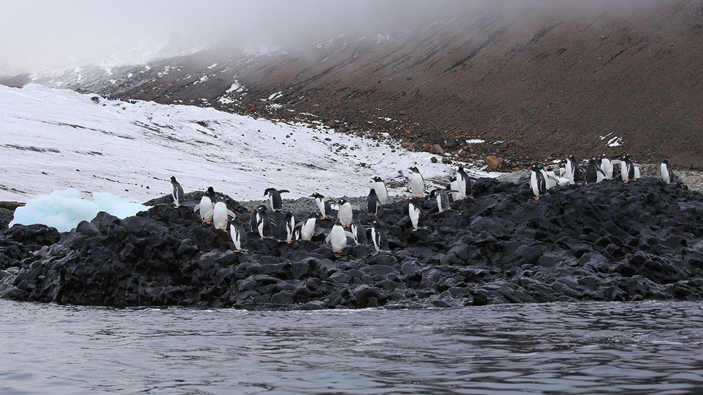 A Sea Kayaking Adventure in Antarctica's Weddell Sea