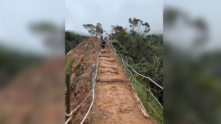 Much of the 11-mile roundtrip hike features stair-climbing and/or sharp elevation gains.