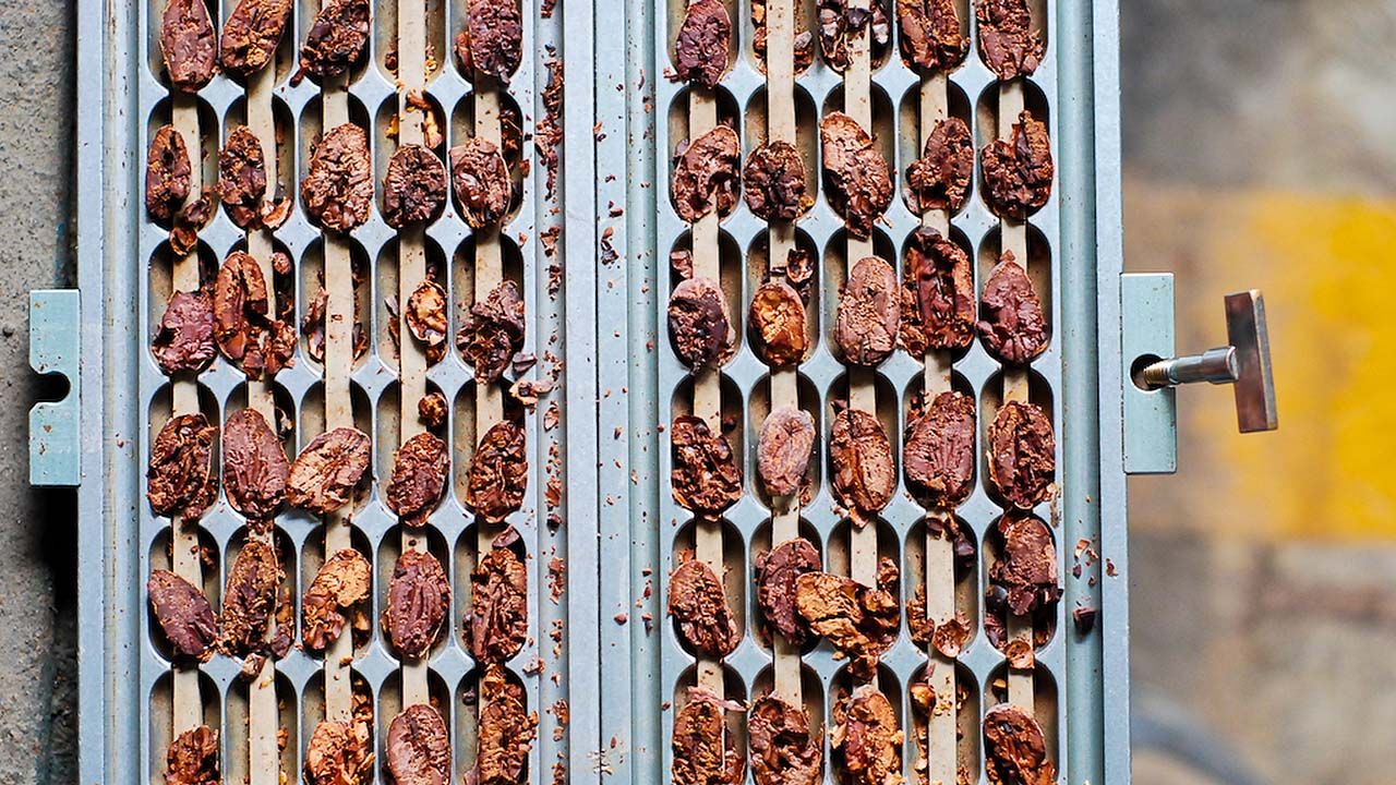 A Guide to Costa Rica's Puerto Viejo and Caribbean Coast