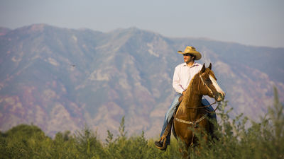 Dude ranches were one type of adventure accommodation listed in the Flywire/ATTA survey.