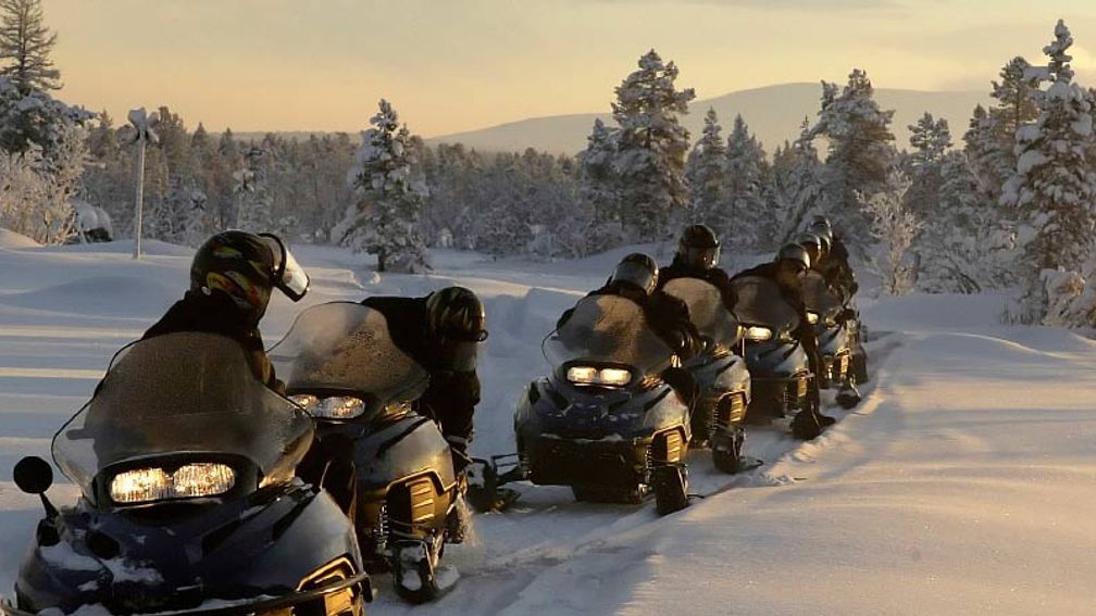 Visitors to Norway can use snowmobiles to herd reindeer. // © 2015 iStock 2