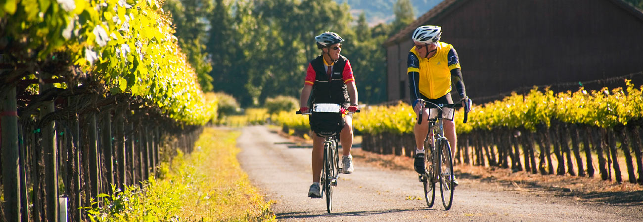 Backroads bike shop trips