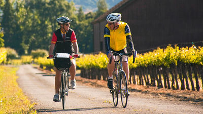 Clients ride at their own pace and can stop to sample wine. // © 2016 Backroads/David Epperson 2