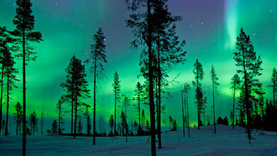 Clients will search for the Northern Lights near the Arctic Circle. // © 2016 iStock 2