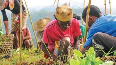 Kind Traveler, which works with 50 charities and 57 hotels, recently celebrated its one-year anniversary. // © 2017 Arbor Day Foundation