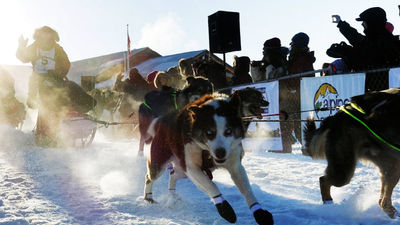 Dogsledding in Yukon, Canada's Far North