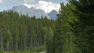 Cyclists can find roads without cars in Alberta, though drivers here are known to be friendly. // © 2014 Thinkstock 2