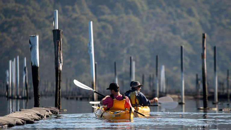 Region X leads kayaking tours through Clyde River.