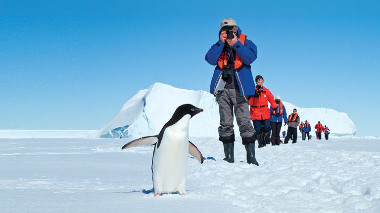 On Antarctica, there are 12 million resident penguins compared about 4,000 resident humans (in the summer) and 1,000 resident humans (during winter).