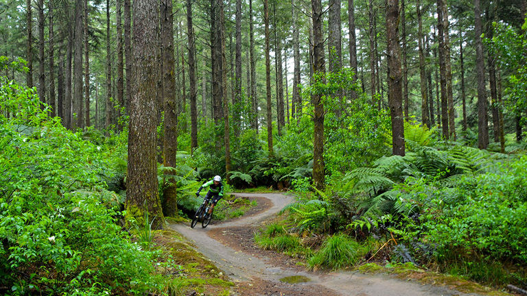 Mountain biking guide Marcello Ojerio on a trail in Whakarewarewa Forest