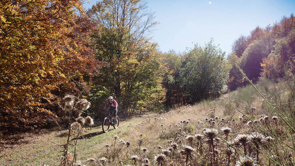 Travel Pros Share Their Favorite Tuscany Adventures