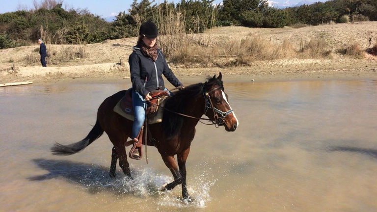 The Fucecchio Marsh offers a unique horseback riding experience.