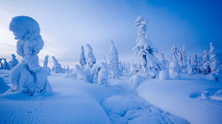 Clients will wonder if they are snowmobiling in a real-life Whoville.