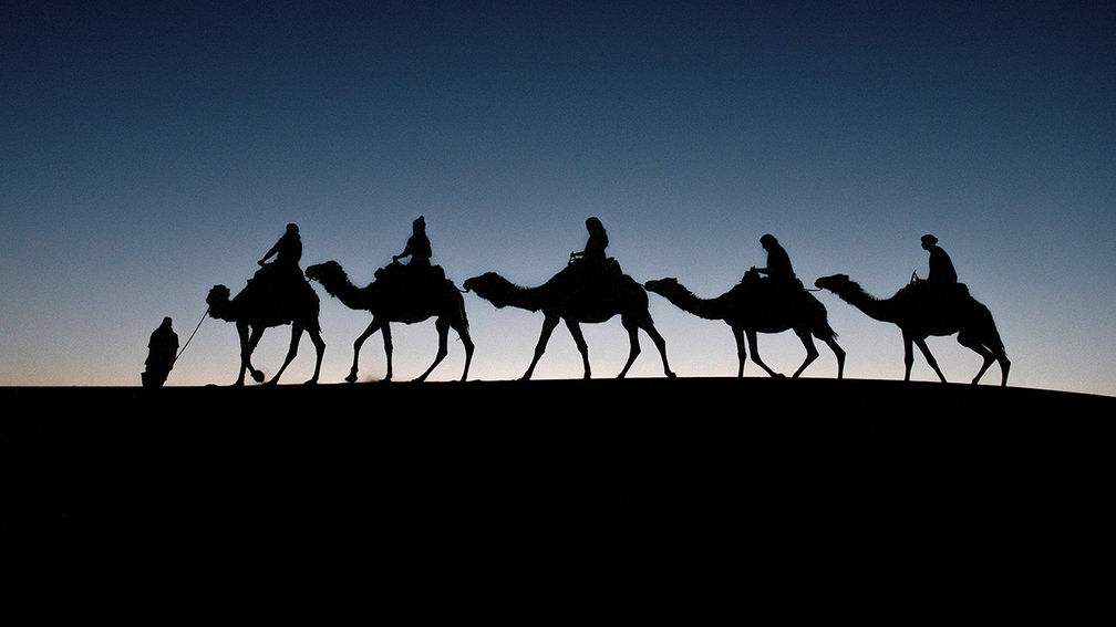 Travel Bucket List: A Camel Ride Through the Sahara Desert