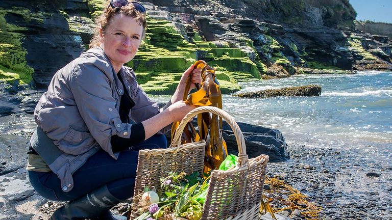 During one excursion, guests learn how to forage seaweed.