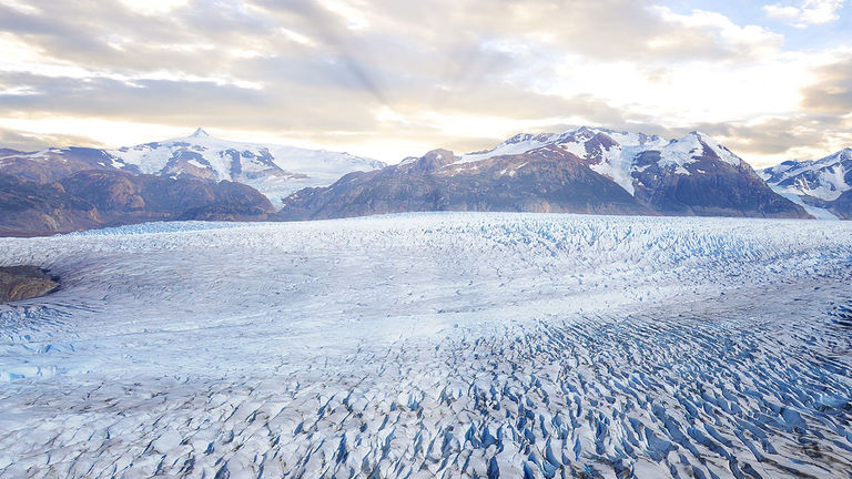 Trek alongside the impressive, but retreating, Grey Glacier.