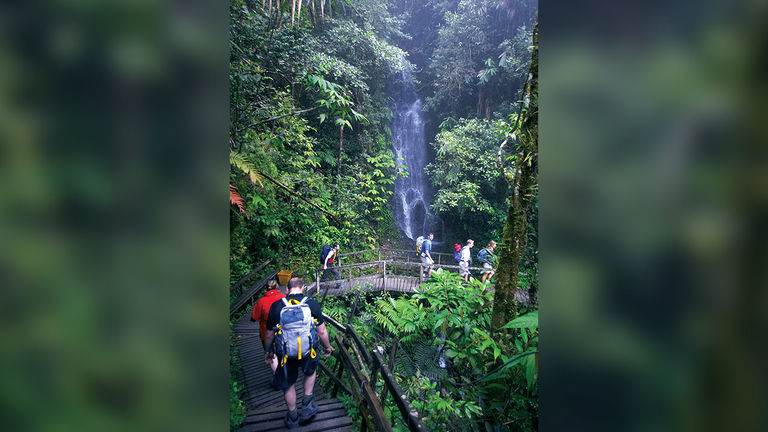 The trek up Mount Kinabalu showcases a variety of landscapes.