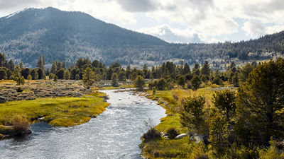 Hotel Review: Wylder Hope Valley in California's Sierra Nevadas