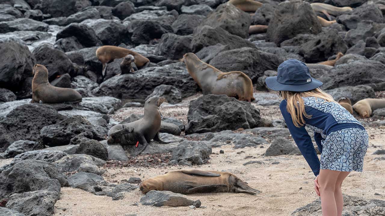 The Galapagos Islands, a UNESCO World Heritage Site, is celebrated for its diverse wildlife.