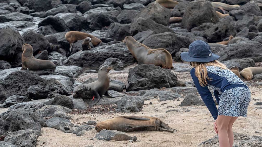3 Unique Animal Encounters in the Galapagos Islands