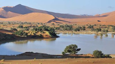 Family Values at Hoanib Skeleton Coast Camp