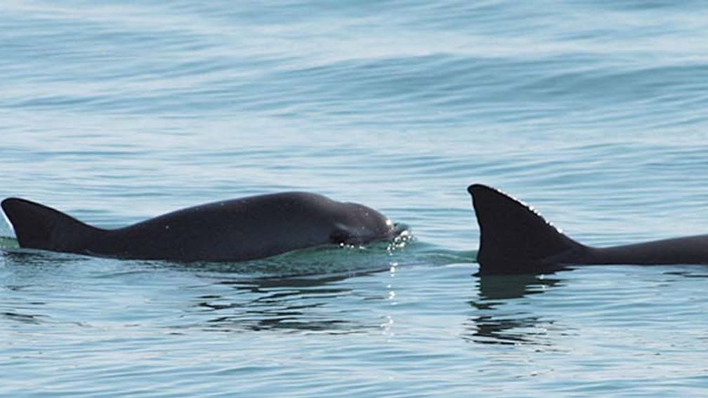 LaPazConservation_feature