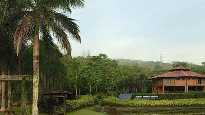 Guests can partake in many excursions made available by the property. // © 2017 Macaw Lodge