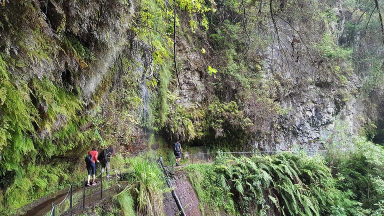 The open canal system is unique to Madeira.