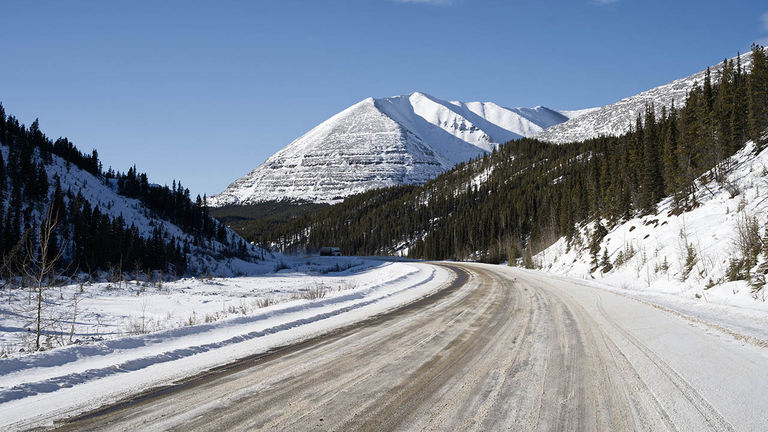 Parts of the Alaska Highway in British Columbia go through the Muskwa-Kechika Management Area, which teems with wildlife.