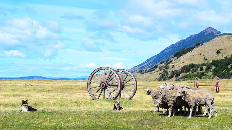 Estancia La Peninsula offers an authentic Patagonian experience for guests.