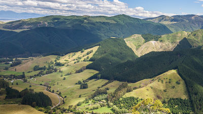A view of New Zealand’s Kahurangi National Park // © 2018 Creative Commons user russellstreet